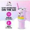 Silver Buffalo Care Bears Grumpy Bear Like I Care Stainless Steel Tumbler with Handle and Straw, Fits in Standard Cup Holder, 40 Ounces(Hello Kitty Spring and Summer)