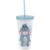 Silver Buffalo Disney Lilo and Stitch Angel Coconut Flowers 2 Pack Color Change Plastic Tumbler, 24-Ounce(Disney Winnie the Pooh)