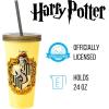 Silver Buffalo Disney Lilo and Stitch Angel Coconut Flowers 2 Pack Color Change Plastic Tumbler, 24-Ounce(Harry Potter House Crests)