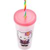 Silver Buffalo Disney Lilo and Stitch Angel Coconut Flowers 2 Pack Color Change Plastic Tumbler, 24-Ounce(Hello Kitty and Friends Kogyaru)