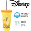 Silver Buffalo Disney Lilo and Stitch Angel Coconut Flowers 2 Pack Color Change Plastic Tumbler, 24-Ounce(Nightmare Before Christmas Celestial Oval)