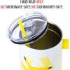 Silver Buffalo Disney Winnie the Pooh “Dreamy Days” Retro Art Stainless Steel Tumbler with Handle and Straw, Fits in Standard Cup Holder, 40 Ounces(Pikachu Pokemon)