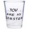 Silver Buffalo SpongeBob SquarePants Featuring Gary Poses Floral Krabby Patty 4 Pack Mini Glass Set, 1.5 Ounces(Friends Iconic Quotes)