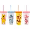 Silver Buffalo Disney Lilo and Stitch Angel Coconut Flowers 2 Pack Color Change Plastic Tumbler, 24-Ounce(Disney Winnie the Pooh)