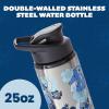Silver Buffalo Disney Lilo and Stitch Double Walled Stainless Steel Water Bottle, 25 Ounces(25oz Lilo and Stitch Silver Tropical)