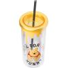 Silver Buffalo Disney Lilo and Stitch Tropical Pattern Plastic Tall Cold Cup with Lid and Straw, 20 Ounces(Winnie the Pooh)