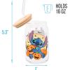 Silver Buffalo Disney Villains Featuring Scar, Maleficent, Ursula, Evil Queen, and Hades Chrome Glass Jar Tumbler with Bamboo Lid and Glass Straw, 16 Ounces(Lilo and Stitch Halloween)