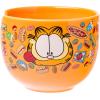 Silver Buffalo Pokemon Pokeball Ceramic Ramen Noodle Bowl with Chopsticks, Microwave Safe, 20 Ounces(Garfield Junk Food Spoon)