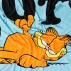 Silver Buffalo Care Bears Plush Fleece Throw Blanket 45″ x 60″ 250 GSM(Garfield Not Today)