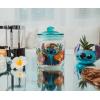 Silver Buffalo Disney Alice in Wonderland Flowers and Mushrooms Glass Cookie Snack Candy Jar with Lid (Small)(Lilo and Stitch Tropical (Glass))