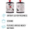 Silver Buffalo Disney Alice in Wonderland Flowers and Mushrooms Glass Cookie Snack Candy Jar with Lid (Small)(Mickey Mouse Sketches (Ceramic))