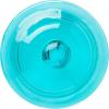 Silver Buffalo Disney Alice in Wonderland Flowers and Mushrooms Glass Cookie Snack Candy Jar with Lid (Small)(Rick and Morty (Glass))