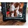 Silver Buffalo Disney Nightmare Before Christmas All Hail the Pumpkin King Tombstone Photo Picture Frame, Grey, 4 x 6 Inches(Nightmare Before Christmas)
