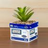 Silver Buffalo Disney Nightmare Before Christmas Jack Skellington Decorative Artificial Faux Greenery Plant in Ceramic(Dunder Mifflin)