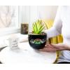Silver Buffalo Disney Nightmare Before Christmas Jack Skellington Decorative Artificial Faux Greenery Plant in Ceramic(Friends Central Perk Logo)
