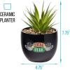 Silver Buffalo Disney Nightmare Before Christmas Jack Skellington Decorative Artificial Faux Greenery Plant in Ceramic(Friends Central Perk Logo)