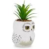 Silver Buffalo Disney Nightmare Before Christmas Jack Skellington Decorative Artificial Faux Greenery Plant in Ceramic(Hedwig)