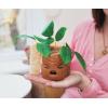Silver Buffalo Disney Nightmare Before Christmas Jack Skellington Decorative Artificial Faux Greenery Plant in Ceramic(Mandrake Face)
