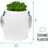 Silver Buffalo Disney Nightmare Before Christmas Jack Skellington Decorative Artificial Faux Greenery Plant in Ceramic(Nasa)