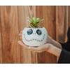 Silver Buffalo Disney Nightmare Before Christmas Jack Skellington Decorative Artificial Faux Greenery Plant in Ceramic(Nightmare Before Christmas)