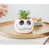 Silver Buffalo Disney Nightmare Before Christmas Jack Skellington Decorative Artificial Faux Greenery Plant in Ceramic(Nightmare Before Christmas)