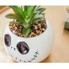 Silver Buffalo Disney Nightmare Before Christmas Jack Skellington Decorative Artificial Faux Greenery Plant in Ceramic(Nightmare Before Christmas)