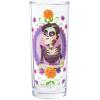 Silver Buffalo Disney Pixar Coco Day of the Dead Design 4 Pack Tumbler Glass Set, 10 Ounces