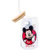 Silver Buffalo Disney Villains Featuring Scar, Maleficent, Ursula, Evil Queen, and Hades Chrome Glass Jar Tumbler with Bamboo Lid and Glass Straw, 16 Ounces(Mickey and Minnie (2 Pack))