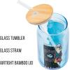Silver Buffalo Disney Villains Featuring Scar, Maleficent, Ursula, Evil Queen, and Hades Chrome Glass Jar Tumbler with Bamboo Lid and Glass Straw, 16 Ounces(Nightmare Before Christmas Starry Eyed)