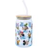 Silver Buffalo Disney Villains Featuring Scar, Maleficent, Ursula, Evil Queen, and Hades Chrome Glass Jar Tumbler with Bamboo Lid and Glass Straw, 16 Ounces(Mickey and Friends)