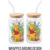 Silver Buffalo Disney Villains Featuring Scar, Maleficent, Ursula, Evil Queen, and Hades Chrome Glass Jar Tumbler with Bamboo Lid and Glass Straw, 16 Ounces(Winnie the Pooh and Piglet)