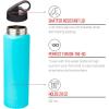 Silver Buffalo Double Walled Vacuum Insulated Stainless Steel Water Bottle, 20-ounce, Rose Gold(Water Bottle – Aqua Blue)