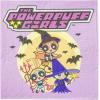 Silver Buffalo Friday the 13th 32 Pack Partyware Disposable Paper Plates and Napkins(The Powerpuff Girls Halloween (40 Pack))