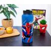 Silver Buffalo Harry Potter Hogwarts Stainless Steel Water bottle with Strap, 27-Ounces(Spider-Man Beyond)