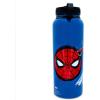 Silver Buffalo Harry Potter Hogwarts Stainless Steel Water bottle with Strap, 27-Ounces(Spider-Man Beyond)