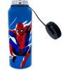 Silver Buffalo Harry Potter Hogwarts Stainless Steel Water bottle with Strap, 27-Ounces(Spider-Man Beyond)