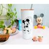 Silver Buffalo Minnie & Mickey Blowing Kiss Hearts Double Walled Stainless Steel Tumbler w Straw, 22-Ounces(22 Ounces)