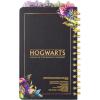 Silver Buffalo Pokemon Pokeball Starters Spiral Tabbed Notebook, 8 x 5 Inches(Harry Potter)