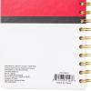 Silver Buffalo Pokemon Pokeball Starters Spiral Tabbed Notebook, 8 x 5 Inches(Pokemon Pokeball Starters Spiral)