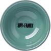 Silver Buffalo Rick and Morty Plant Portal Fall Ceramic Sushi Set with Dipping Sauce Dish and Matching Chopsticks(Spy X Family)