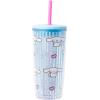 Silver Buffalo Sanrio Hello Kitty Zodiac Signs Iridescent Double Walled Tritan Water Bottle, 18 Ounces(Cinnamoroll Hearts and Stripes)