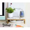 Silver Buffalo Winnie The Pooh Up and Away Double Wall Stainless Steel Stemless Tumbler w/Lid, 10-Ounces(The Office Employee of the Month)