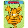 Silver Buffalo Care Bears Plush Fleece Throw Blanket 45″ x 60″ 250 GSM(Garfield Hanging on)