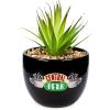 Silver Buffalo Disney Nightmare Before Christmas Jack Skellington Decorative Artificial Faux Greenery Plant in Ceramic(Friends Central Perk Logo)