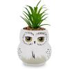 Silver Buffalo Disney Nightmare Before Christmas Jack Skellington Decorative Artificial Faux Greenery Plant in Ceramic(Hedwig)