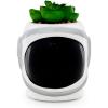Silver Buffalo Disney Nightmare Before Christmas Jack Skellington Decorative Artificial Faux Greenery Plant in Ceramic(Nasa)