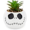 Silver Buffalo Disney Nightmare Before Christmas Jack Skellington Decorative Artificial Faux Greenery Plant in Ceramic(Nightmare Before Christmas)