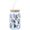 Silver Buffalo Disney Villains Featuring Scar, Maleficent, Ursula, Evil Queen, and Hades Chrome Glass Jar Tumbler with Bamboo Lid and Glass Straw, 16 Ounces(Mickey and Friends)