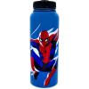 Silver Buffalo Harry Potter Hogwarts Stainless Steel Water bottle with Strap, 27-Ounces(Spider-Man Beyond)