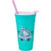 Silver Buffalo Hello Kitty Face Logo Plastic Tumbler with Lid and Straw, 32 Ounces(Hello Kitty Rainbow Car)